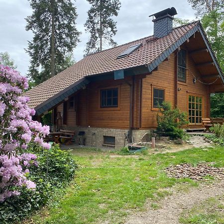 Waldhaus Eichhoernchen 巴特施米德贝格 外观 照片