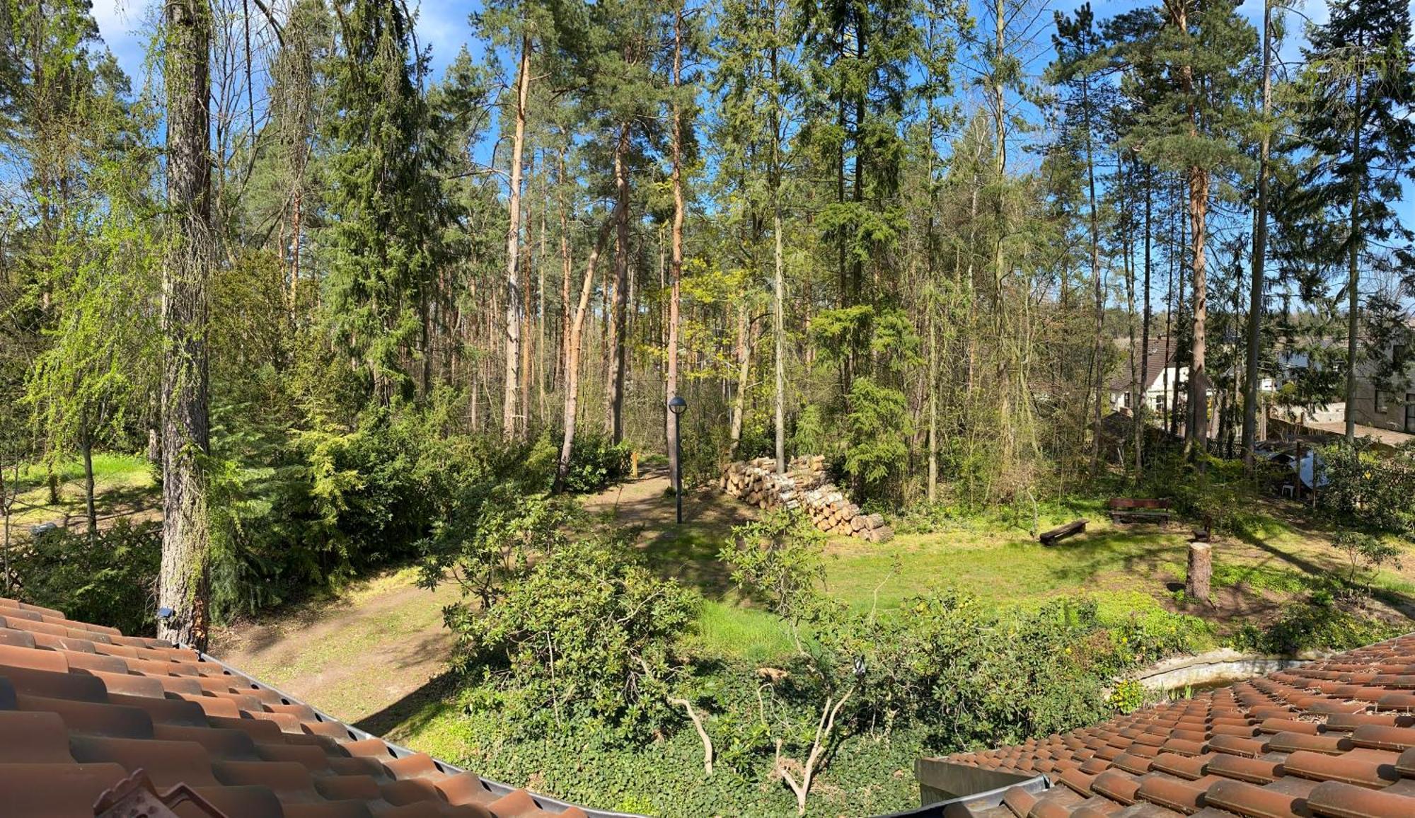 Waldhaus Eichhoernchen 巴特施米德贝格 外观 照片