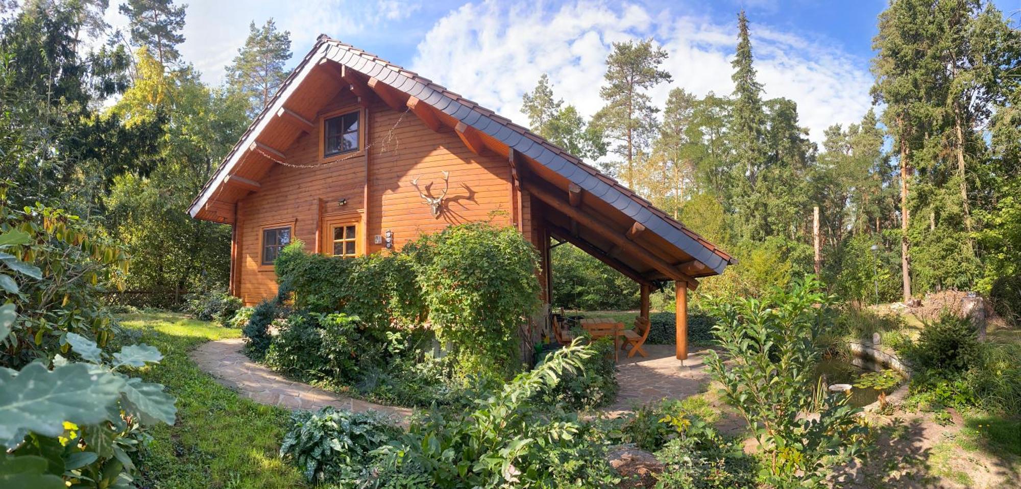 Waldhaus Eichhoernchen 巴特施米德贝格 外观 照片
